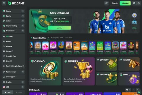Découvrez Bc Game Casino Online  L'Expérience de Jeu Ultime