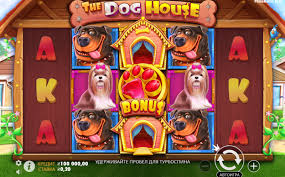 더 도그 하우스 슬롯 개들의 세계에서 즐기는 재미와 수익