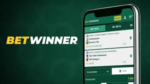 Exploring the Features and Benefits of the Online Betting Platform BetWinner