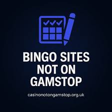 Exploring Online Bingo Sites Not on GamStop 148342252