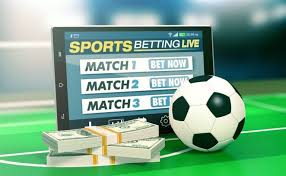Découvrez Betwinner  Votre Guide Complet sur les Paris Sportifs